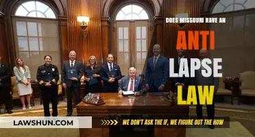Missouri's Anti-Lapse Law: What You Need to Know