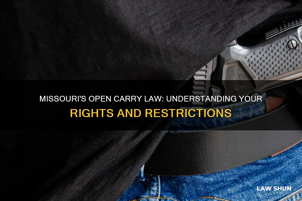 Missouri's Open Carry Law: Understanding Your Rights And Restrictions ...