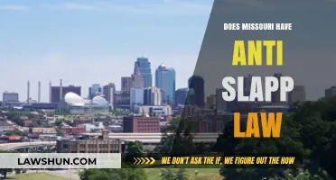 Missouri's Anti-SLAPP Law: What You Need to Know