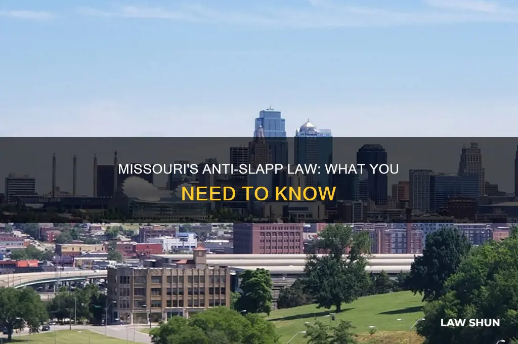does missouri have anti slapp law