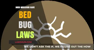 Understanding Missouri's Bed Bug Laws: A Comprehensive Guide