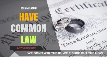 Missouri's Common Law Marriage: What's the Deal?