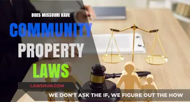 Missouri's Property Laws: Understanding Community vs. Separate Ownership Rules