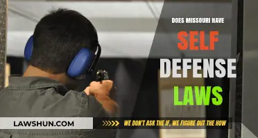 Understanding Missouri's Self-Defense Laws: A Comprehensive Guide