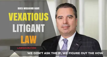 Understanding Vexatious Litigant Laws: Missouri's Legal Landscape