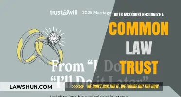 Missouri's Stance on Common Law Trusts