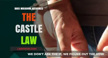 Missouri's Stand Your Ground Law: Understanding the Castle Doctrine