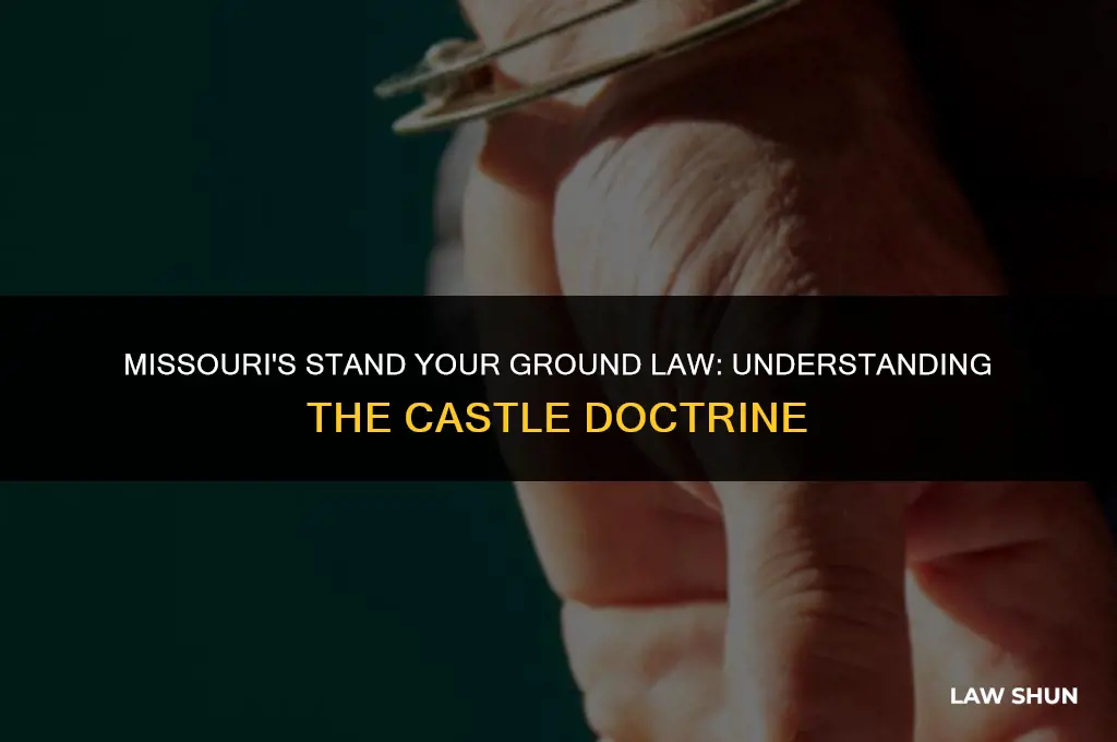 does missourk recognize the castle law