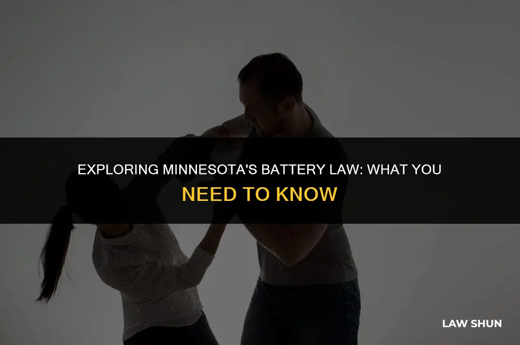 does mn have a battery law