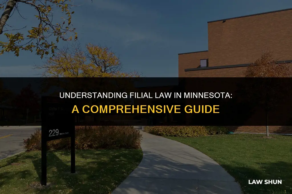 does mn have a filial law