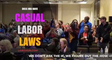 Minnesota's Casual Labor Laws: Understanding Worker Rights and Protections