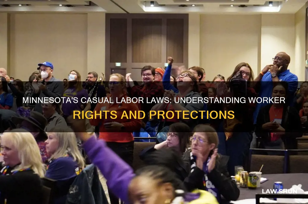 does mn have casual labor laws