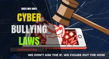 Understanding Minnesota's Cyberbullying Laws: A Comprehensive Guide