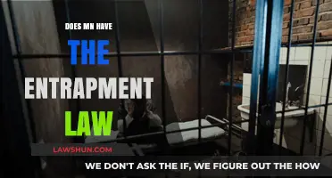 Understanding Minnesota's Legal Stance on Entrapment: A Comprehensive Guide