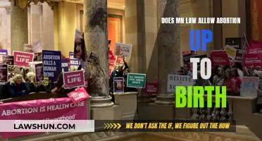 Minnesota's Abortion Laws: Birth, Life, and Choice