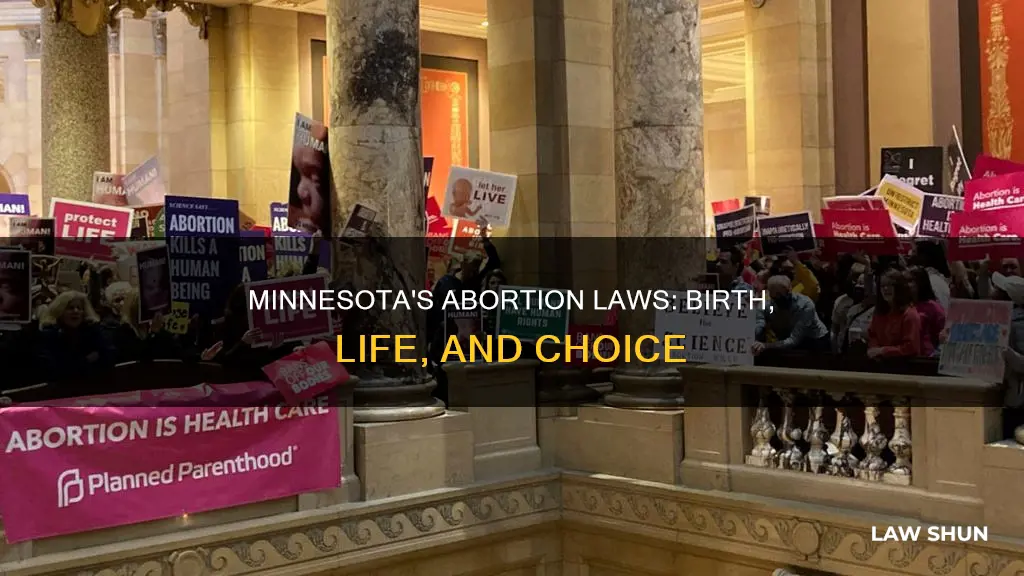 does mn law allow abortion up to birth