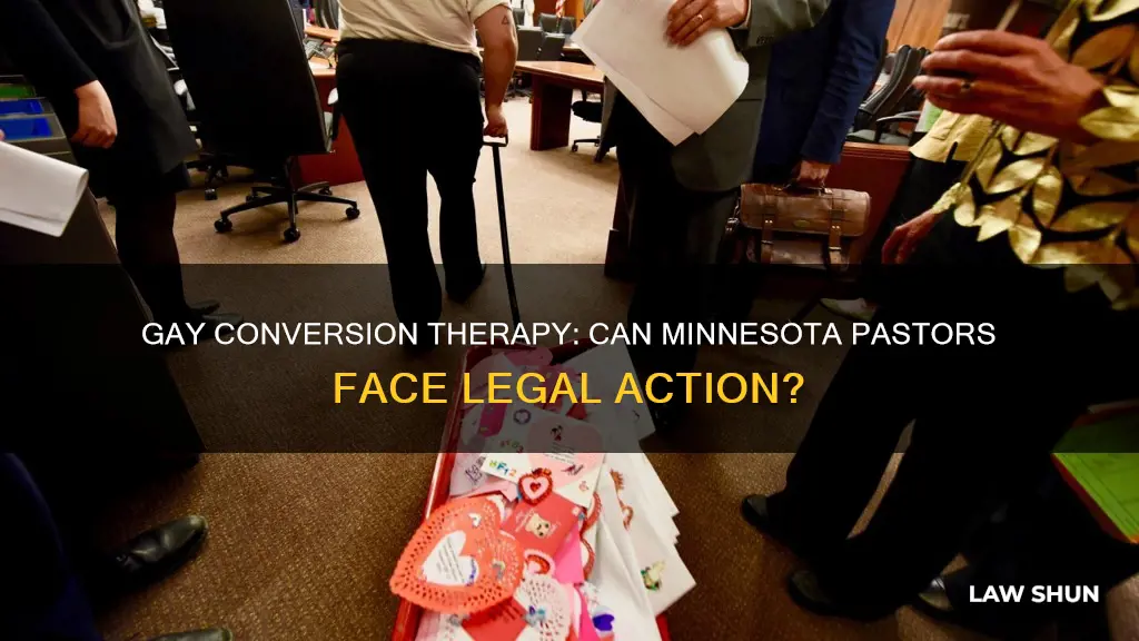 does mn law banning gay therapy apply to pastors