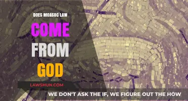 Does Mosaic Law Originate from God? Exploring Divine vs. Human Authority