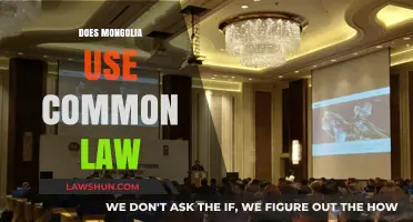 Mongolia's Legal System: Common or Civil Law?
