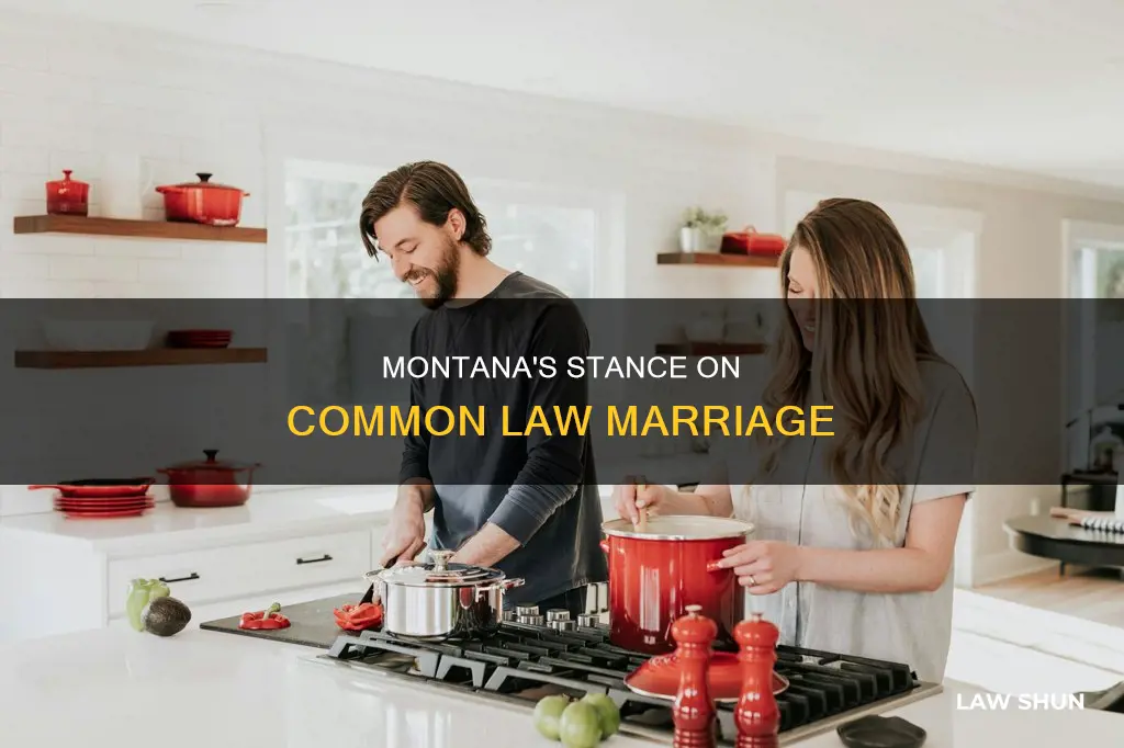 does montana consider common law marriage