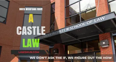 Exploring Montana's Legal Landscape: The Truth About Castle Law