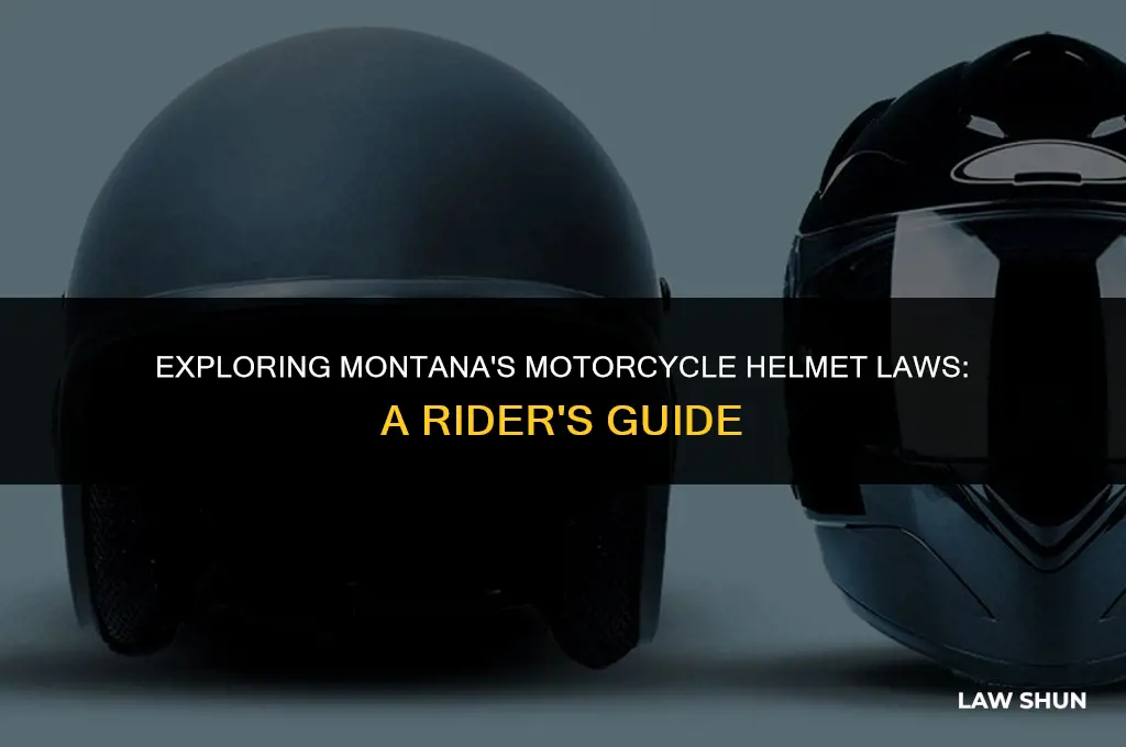 does montana have a helmet law