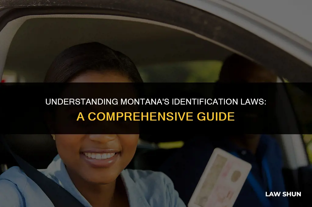 does montana have a id law