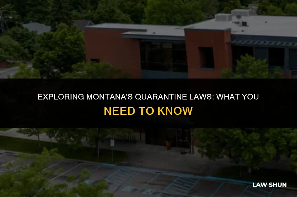 does montana have a quarantine law