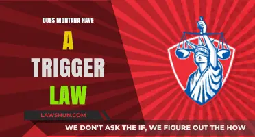 Exploring Montana's Legal Landscape: The Presence of Trigger Laws