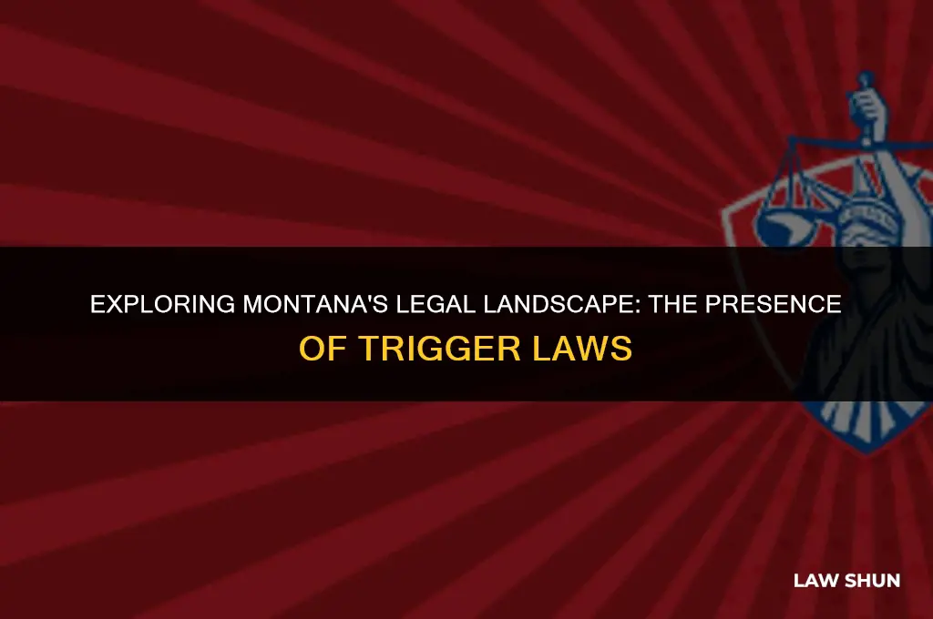does montana have a trigger law
