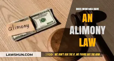 Understanding Alimony Laws in Montana: A Comprehensive Guide