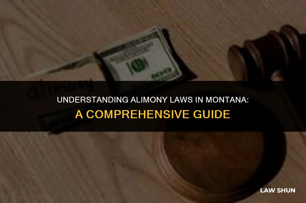 does montana have an alimony law
