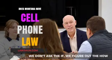 Exploring Montana's Cell Phone Laws: What You Need to Know