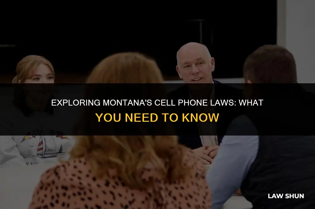 does montana have cell phone law