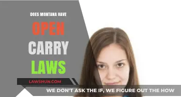Montana's Open Carry Laws: Understanding Your Rights and Regulations