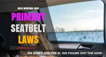 Montana's Seatbelt Laws: Primary or Secondary? A Comprehensive Look