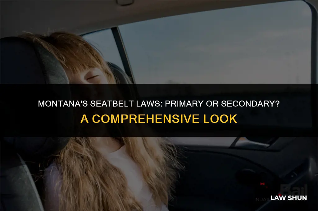 does montana have primary seatbelt laws
