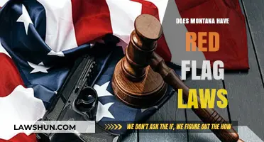 Understanding Montana's Stance on Red Flag Laws: A Comprehensive Guide