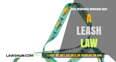 Montrose Michigan Leash Law: Understanding Local Pet Regulations and Rules