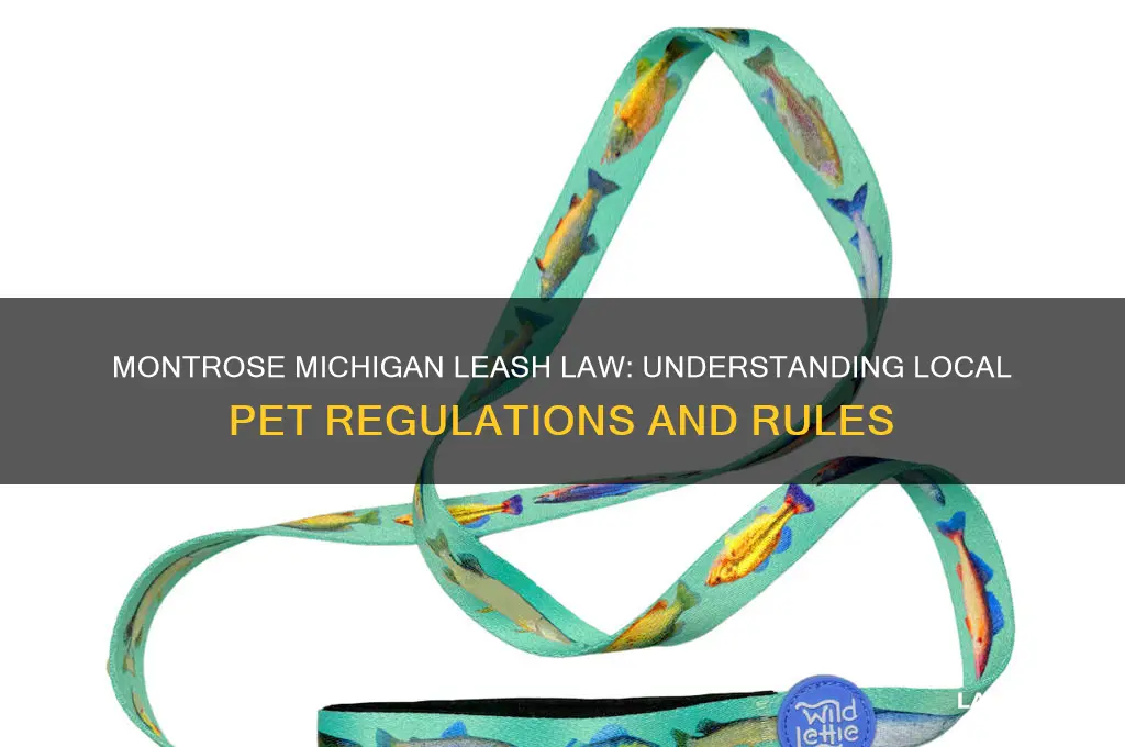 does montrose michigan have a leash law