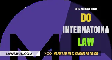 Exploring Morgan Lewis's Global Reach: International Law Expertise Unveiled