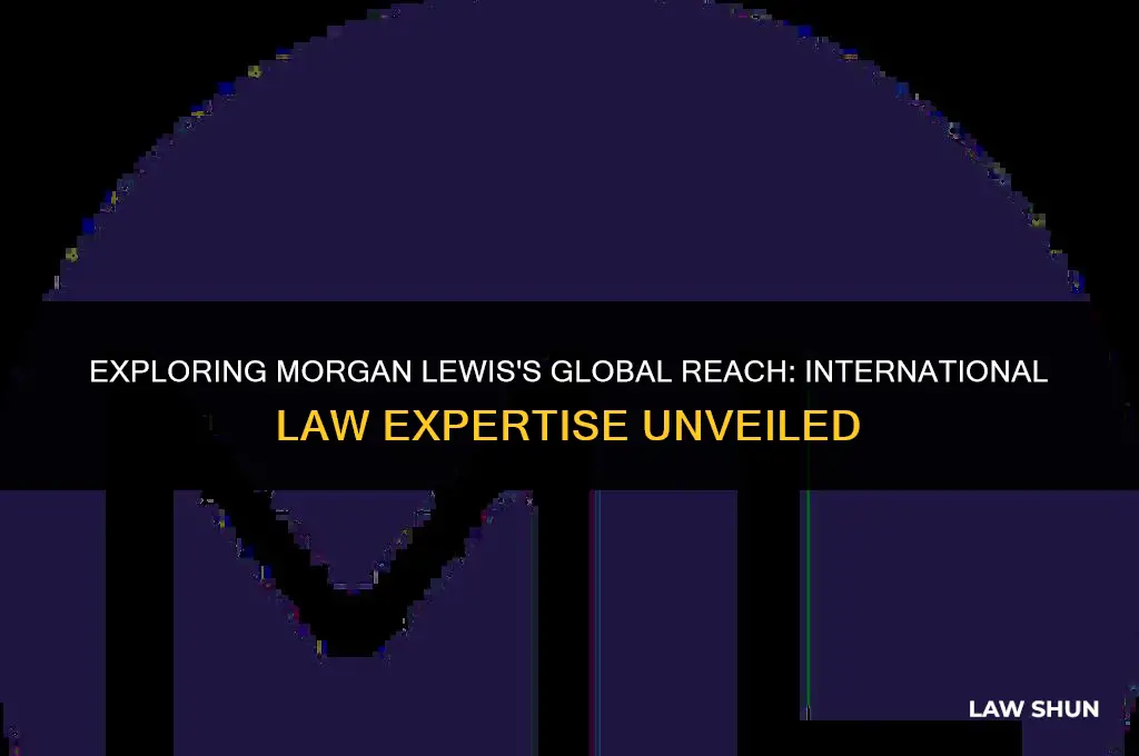 does morgan lewis do internatoinal law
