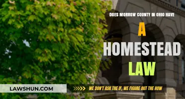 Ohio Homestead Laws: Does Morrow County Offer Protection for Homeowners?