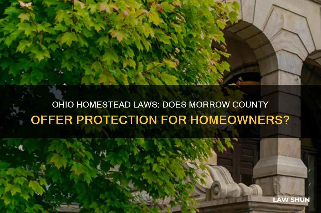 does morrow county in ohio have a homestead law