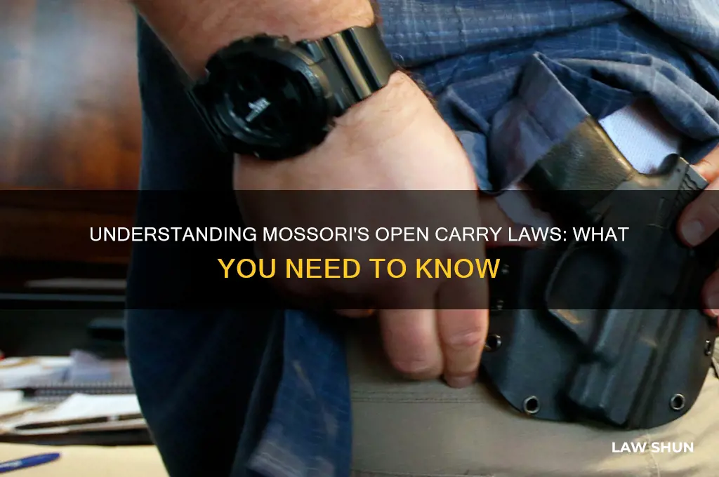 does mossori have open carry laws