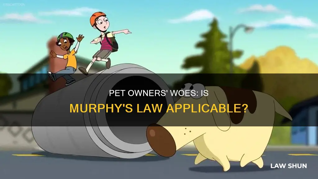 does mrs murphy law apply to pets