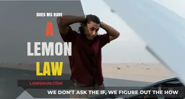 Does MS Have a Lemon Law? Understanding Your Rights in Mississippi
