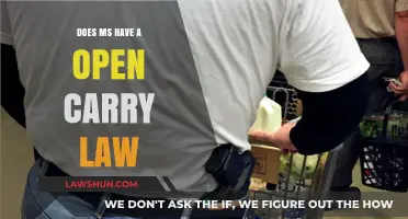 Mississippi's Open Carry Law: Understanding Gun Rights and Regulations