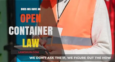 Does Mississippi Enforce Open Container Laws? Legal Insights Explained
