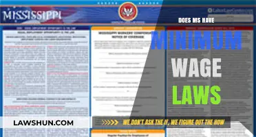 Exploring Minimum Wage Laws in Mississippi: A Comprehensive Guide